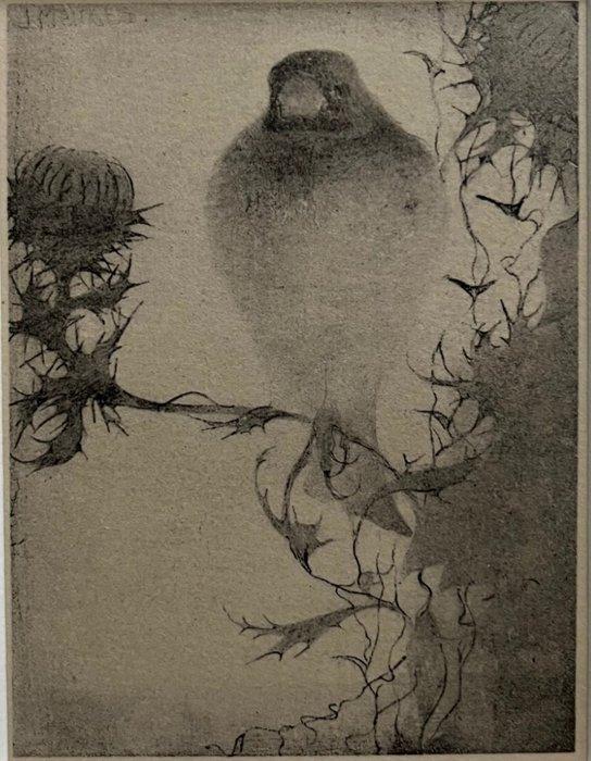 Jan Mankes (1889-1920), after - Puttertje op Tak 1923 (, Antiek en Kunst, Antiek | Overige Antiek