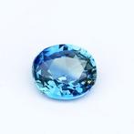 1 pcs Blauw Saffier - 1.36 ct - International Gemological, Nieuw