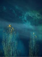 Jaime Oriz - A time of hope