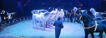 Wereldkerstcircus Tickets | Carre Amsterdam beschikbaar voor biedingen