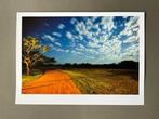 Andre Lichtenberg - Pantanal Tree