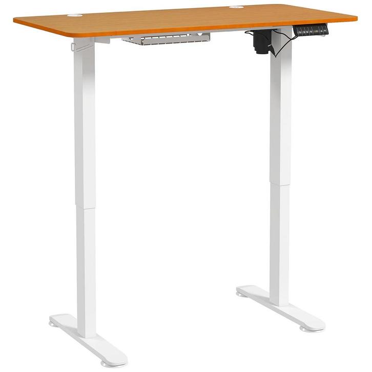 TRUUSK Elektrische Staande Tafel 120x60cm - In Hoogte Verste, Huis en Inrichting, Bureaus, Nieuw, Verzenden