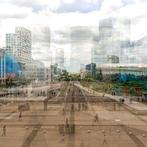 Roberto Cavalli - Visioni, In Paris / #907