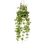 Emerald Kunstplant hangend in pot lantaarnplant 50 cm, Nieuw, Verzenden