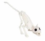 Nep Dieren Skelet Kat 48cm, Verzenden, Nieuw