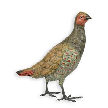 A BRONZE SCULPTURE OF A COLD PAINTED PIGEON (Interieur) beschikbaar voor biedingen