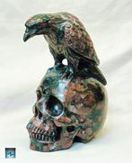 Raafsculptuur op een menselijke schedel, met de hand uit