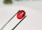 1 pcs Oranje, Paars, Rood, Roze Saffier - 1.57 ct - Antwerp, Sieraden, Tassen en Uiterlijk, Edelstenen, Nieuw