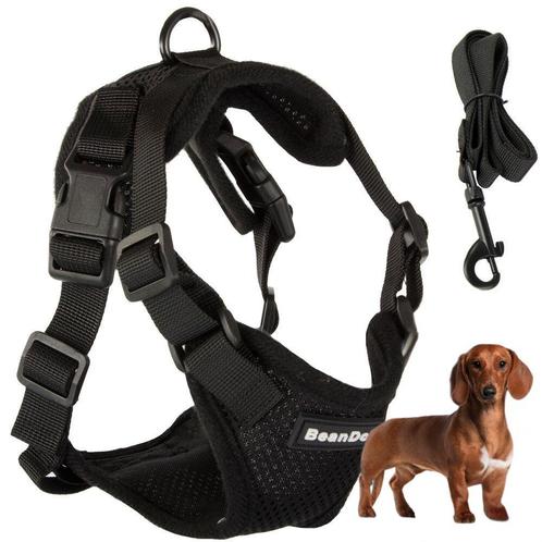 Bean Do Drukvrij Hondentuigje Met Riem - Anti Trek Tuig -, Dieren en Toebehoren, Overige Dieren-accessoires, Ophalen of Verzenden