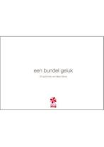 Een bundel geluk 9789491773334 Merel Morre, Verzenden, Gelezen, Merel Morre