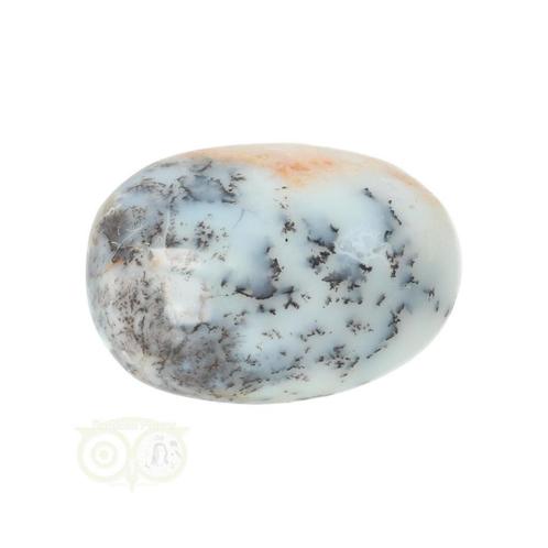 Dendriet Opaal - Agaat handsteen - Small Nr 29 - 21 gram, Sieraden, Tassen en Uiterlijk, Edelstenen, Nieuw, Verzenden
