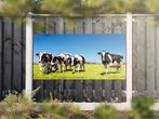 NR 1217: Tuinposter zwart-witte koeien in wei 90x180cm, Nieuw