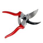 Snoeischaar, Ophalen of Verzenden, Nieuw