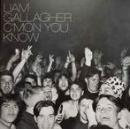 lp nieuw - Liam Gallagher - Cmon You Know, Verzenden, Zo goed als nieuw