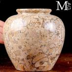 Fossiele sedimenten uit het Paleozoïcum Ornamentale vaas in