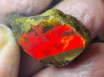 71,8 ct - Kristal Opaal Ruwe Topkleuren - Volledige rode