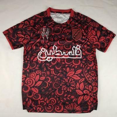Fc Palestina voetbalshirt met aangepaste naam Rood, Kleding | Heren, Sportkleding, Voetbal, Nieuw, Verzenden