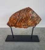 Wolharige mammoet - Fossiele tand - 290 mm - 180 mm