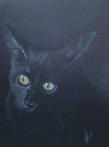 Y.Benda - Zwarte kat in het donker