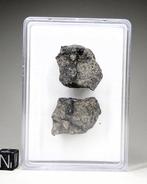 Meteoriet NWA 15658, eucriet, asteroïde Vesta gesplitst. -