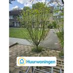 Te huur: Appartement Torenmolen in Purmerend, Noord-Holland, Purmerend, Appartement