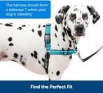 Easy Walk® - Hondentuig - Small/38-51 cm - Zwart, Doe-het-zelf en Verbouw, Gereedschap | Handgereedschap, Ophalen of Verzenden