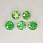 5 pcs Groen Tsavoriet - 2.03 ct - Antwerp Laboratory for, Sieraden, Tassen en Uiterlijk, Nieuw