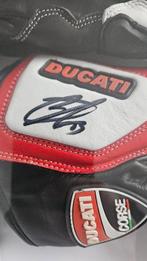 Ducati Team - Marc Marguez / Francesco Bagnaia - 2025 -, Nieuw