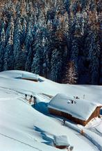 Toni Frissell - A Chalet In Winter 1955. (Toni Frissell)