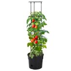 Tomatenkweekpot 29,5x115 cm polypropeen antracietkleurig, Nieuw, Verzenden