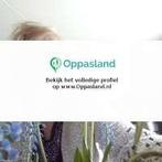 Ik ben Anita, 67 jaar oud en ik zoek oppaswerk in Gouda.