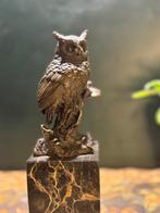 Milo (1910-1978) - sculptuur, Bos uil - 28 cm - Brons,
