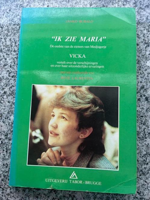 Ik zie Maria, Boeken, Godsdienst en Theologie, Christendom | Katholiek, Christendom | Protestants, Gelezen, Verzenden