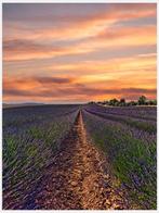 Fabian Kimmel - Southern France - Series of 4 - Frankreich, Antiek en Kunst