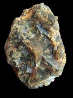 Prachtige fluoriet, Chavaniac-Lafayette. - - Hoogte: 16.5 cm