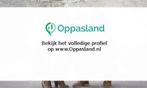 Siglinda zoekt een oppas in Kolderwolde voor 3 kinderen o..., Vacatures, Vacatures | Administratief en Secretarieel