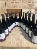 2015 x 6 Domaine Chasselvin Crozes Hermitage & 2016 x 6, Nieuw