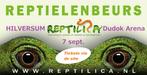 Reptielenbeurs HILVERSUM 7 september, Dieren en Toebehoren, Reptielen en Amfibieën, Overige soorten