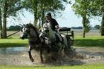 Ideal Equestrian mentuigen minishetlanderpony tot trekpaard, Dieren en Toebehoren, Paarden en Pony's | Hoofdstellen en Tuigage
