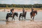 Ruiterinstructiekampen met eigen pony of paard, Diensten en Vakmensen, Dieren | Paarden | Verzorging, Oppas en Les, Paardrijles of Ponykampen