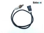 Lambda Sonde Ducati Monster S4 916 2001-2003, Verzenden, Gebruikt