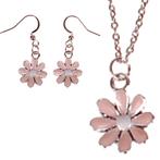 Set - Kinderketting 45cm RVS - Oorbellen Zilverkleurig - Han, Ophalen of Verzenden, Nieuw