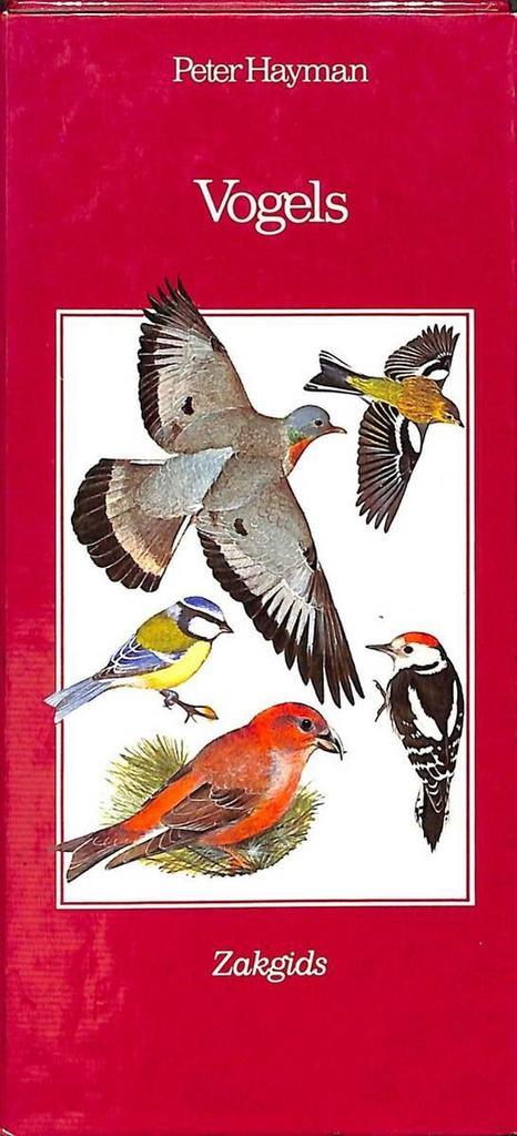 Vogels 9789021010120 Hayman, Boeken, Wetenschap, Gelezen, Verzenden