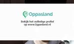 Amin zoekt een oppas in Amsterdam., Vacatures