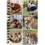 Notitieboekje 3d Wilde dieren blanco NIEUW, Diversen, Schrijfwaren, Nieuw, Ophalen of Verzenden