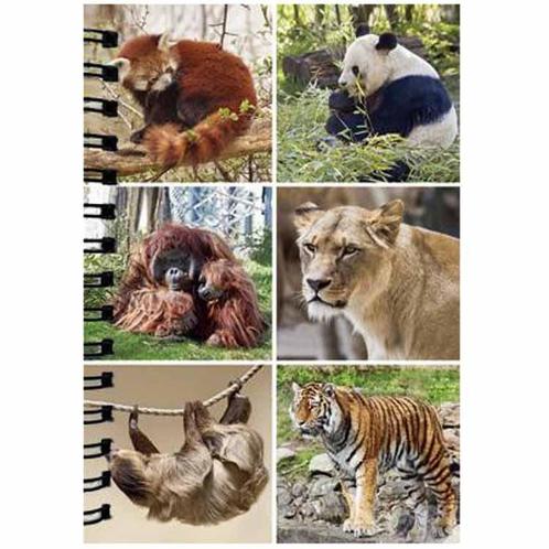 Notitieboekje 3d Wilde dieren blanco NIEUW, Diversen, Schrijfwaren, Nieuw, Ophalen of Verzenden