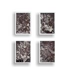 N. Magro - Collectables: “ Four Dark Natures ”