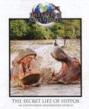 Jules Verne - The secret life of hippos - Blu-ray, Verzenden, Nieuw in verpakking