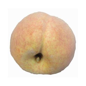 Kunstfruit perziken van 8 cm - Kunst fruit