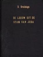 Bruinings, David-De Leeuw uit de stam van Juda, Boeken, Verzenden, Gelezen